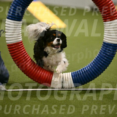 Theo-Amy-Jeske-08476