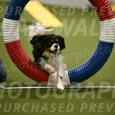 Theo-Amy-Jeske-08477