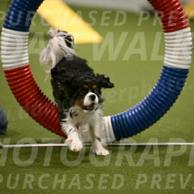 Theo-Amy-Jeske-08478