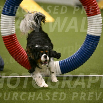 Theo-Amy-Jeske-08479