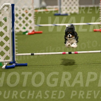 Theo-Amy-Jeske-08480