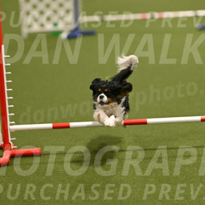 Theo-Amy-Jeske-08481