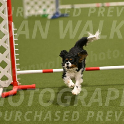 Theo-Amy-Jeske-08482