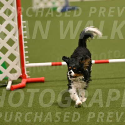 Theo-Amy-Jeske-08483