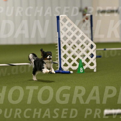 Theo-Amy-Jeske-08484