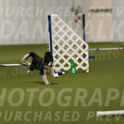 Theo-Amy-Jeske-08485