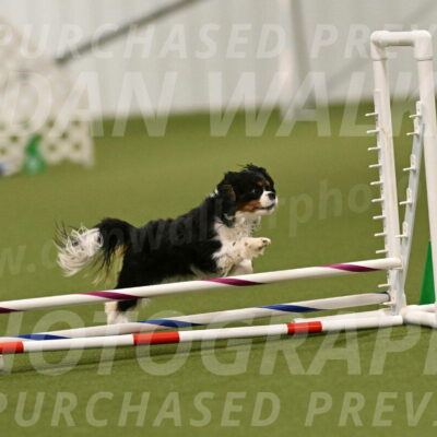 Theo-Amy-Jeske-08486