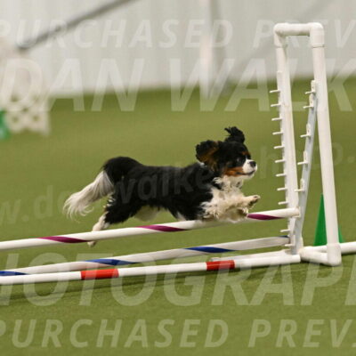 Theo-Amy-Jeske-08487