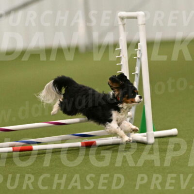 Theo-Amy-Jeske-08488