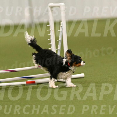 Theo-Amy-Jeske-08489