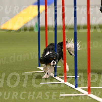 Theo-Amy-Jeske-08490