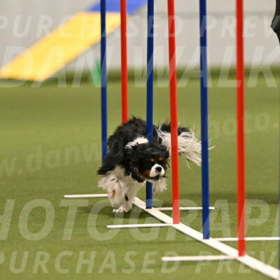 Theo-Amy-Jeske-08491