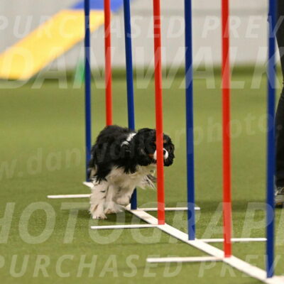 Theo-Amy-Jeske-08492