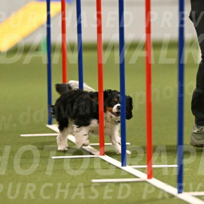 Theo-Amy-Jeske-08493