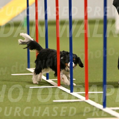 Theo-Amy-Jeske-08494