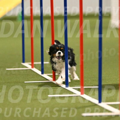 Theo-Amy-Jeske-08495