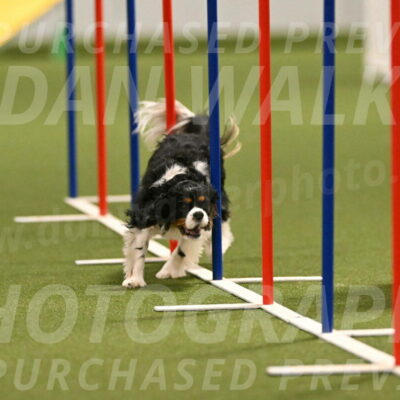 Theo-Amy-Jeske-08497