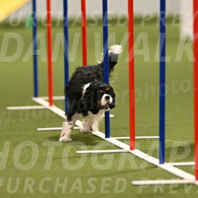 Theo-Amy-Jeske-08498