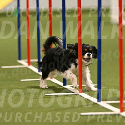 Theo-Amy-Jeske-08499