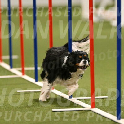 Theo-Amy-Jeske-08500