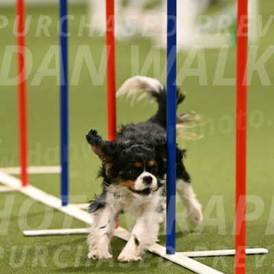 Theo-Amy-Jeske-08501