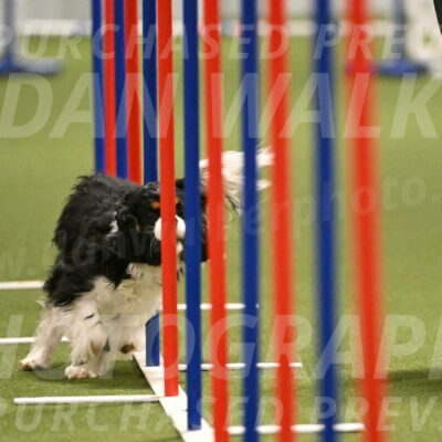 Theo-Amy-Jeske-08502