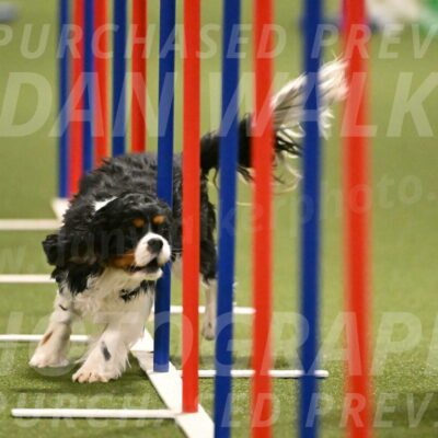 Theo-Amy-Jeske-08504