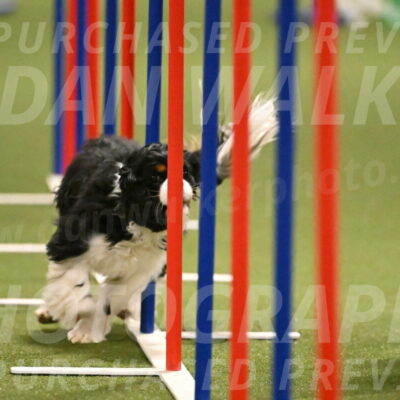 Theo-Amy-Jeske-08505