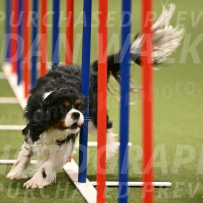 Theo-Amy-Jeske-08507