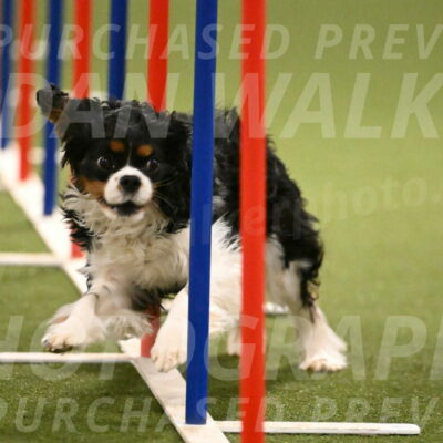 Theo-Amy-Jeske-08509