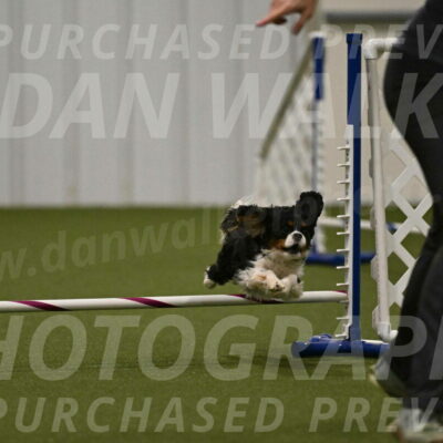 Theo-Amy-Jeske-08510