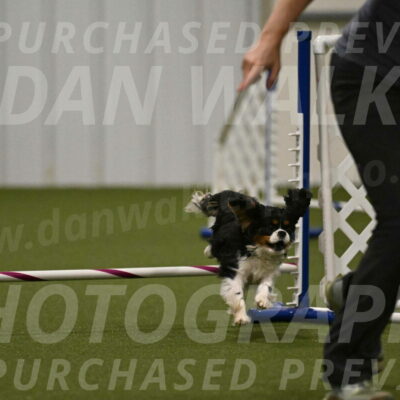 Theo-Amy-Jeske-08511