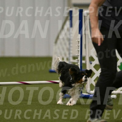 Theo-Amy-Jeske-08512