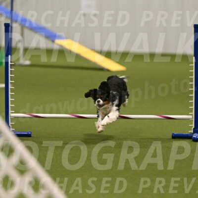 Theo-Amy-Jeske-08513