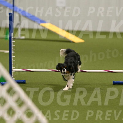 Theo-Amy-Jeske-08514