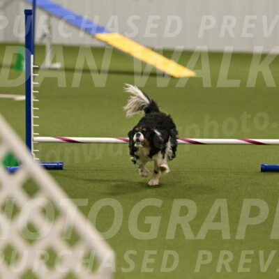 Theo-Amy-Jeske-08515