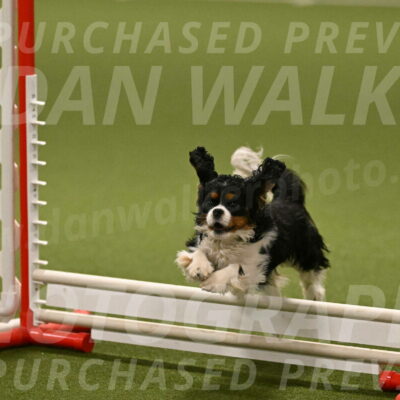 Theo-Amy-Jeske-08516