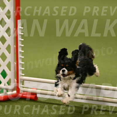 Theo-Amy-Jeske-08517