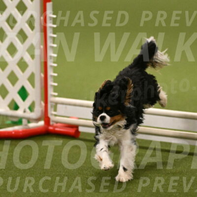 Theo-Amy-Jeske-08518