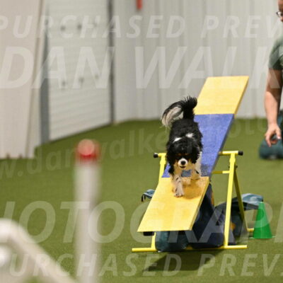 Theo-Amy-Jeske-08519