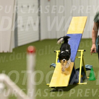 Theo-Amy-Jeske-08520