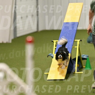 Theo-Amy-Jeske-08521