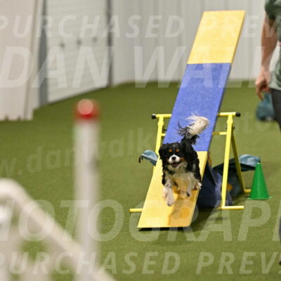 Theo-Amy-Jeske-08522