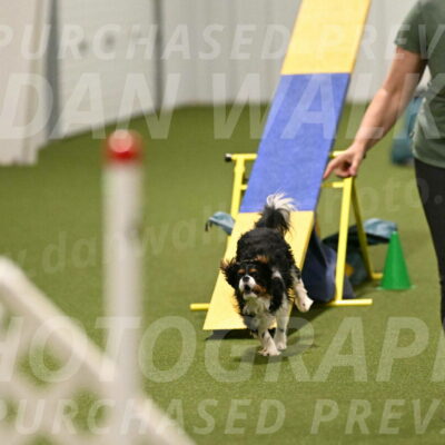 Theo-Amy-Jeske-08523