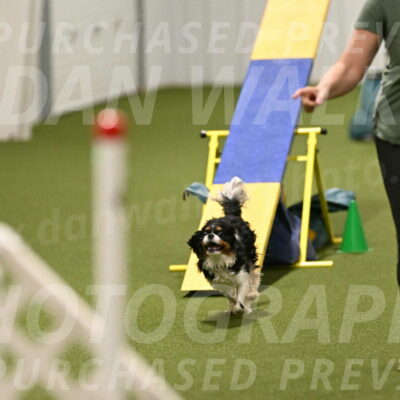 Theo-Amy-Jeske-08524