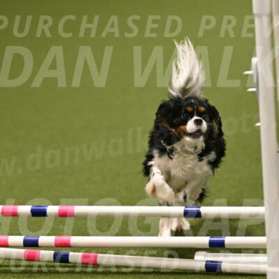 Theo-Amy-Jeske-08525