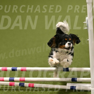 Theo-Amy-Jeske-08526