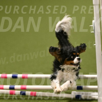 Theo-Amy-Jeske-08527