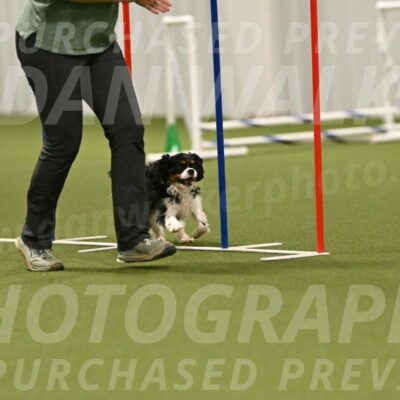 Theo-Amy-Jeske-08528