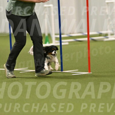 Theo-Amy-Jeske-08529